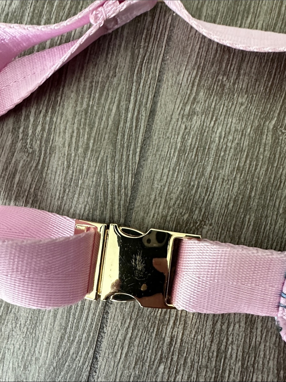 Stoney Clover Lane x Disney Princess Jasmine Belt Bag - Picture 6 of 7
